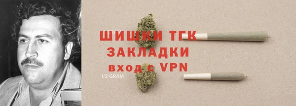 индика Богородск