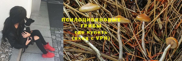индика Богородск