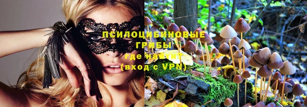 амфетамин Белокуриха