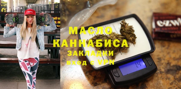 индика Богородск