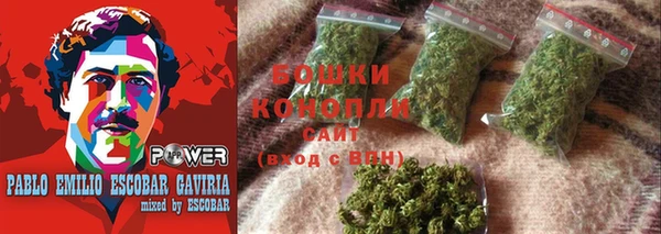 МДПВ Богородицк